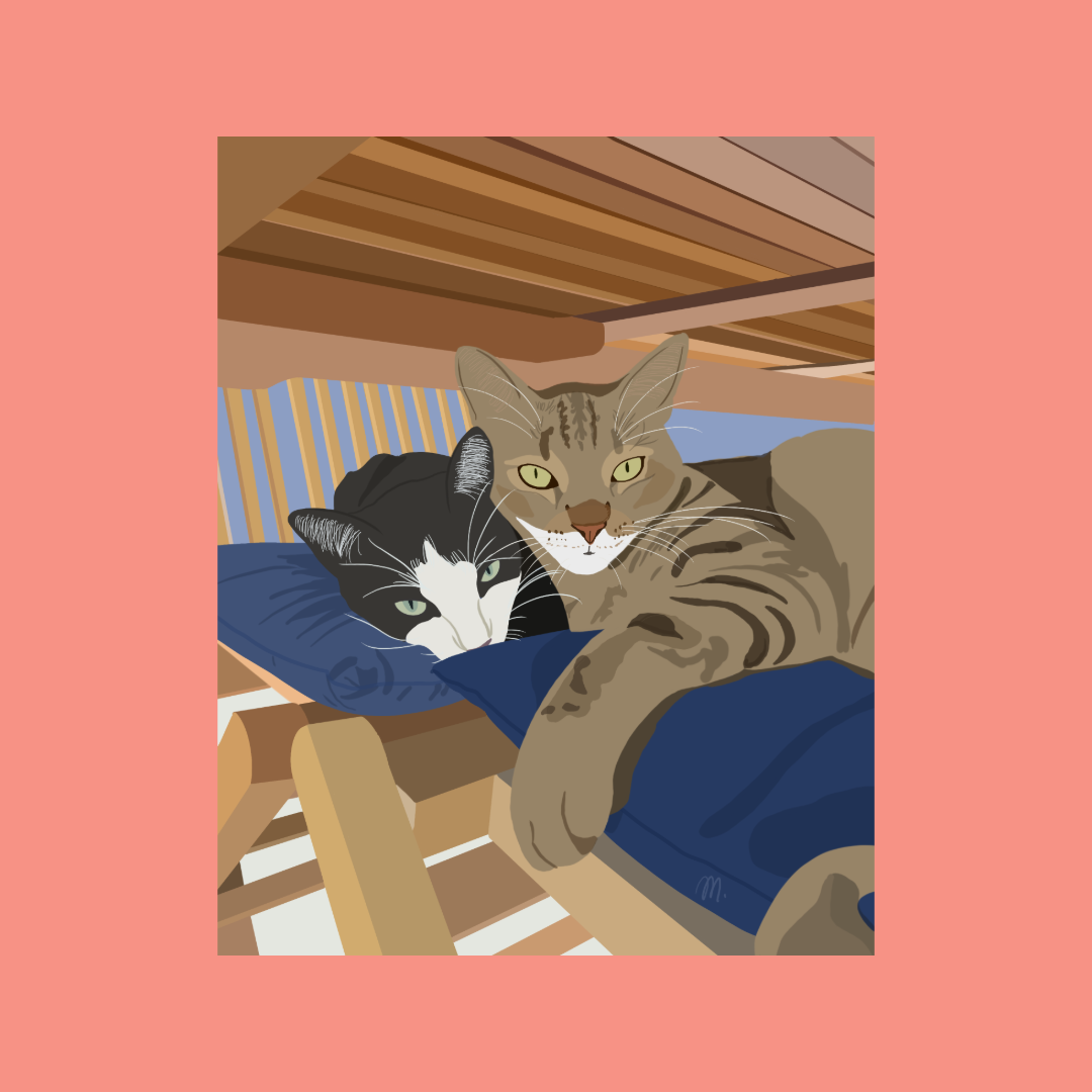 Illustration Animaux