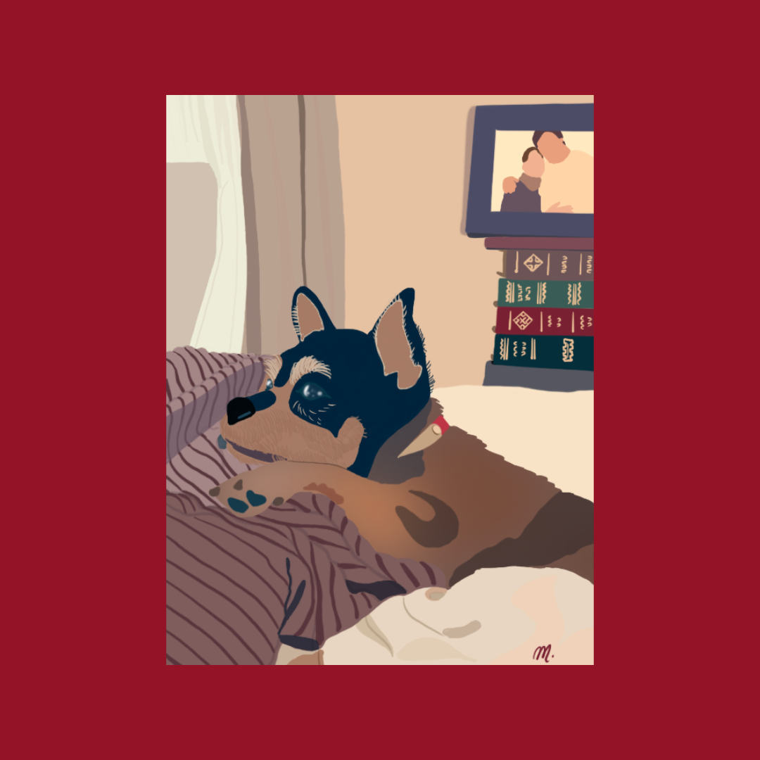 Illustration Animaux