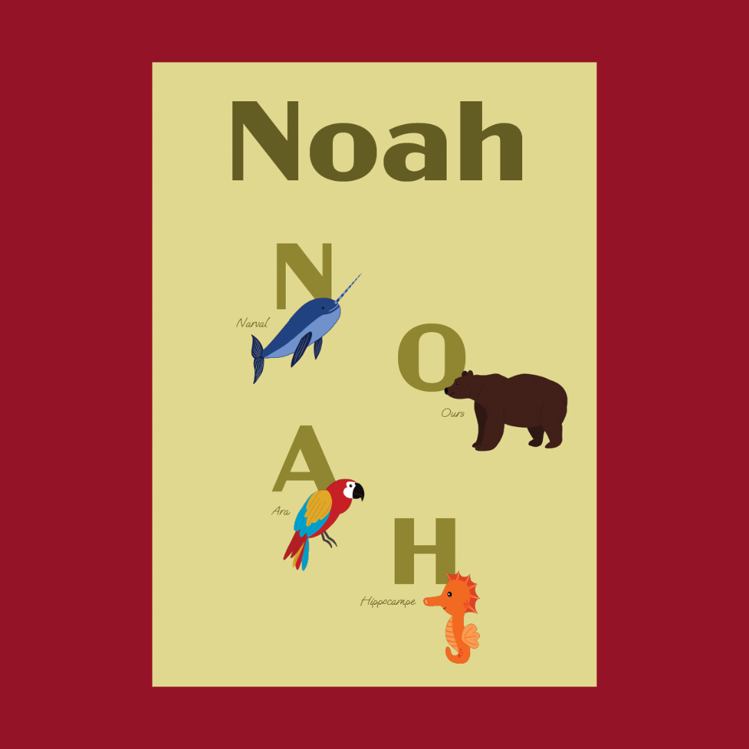 Affiche Noah